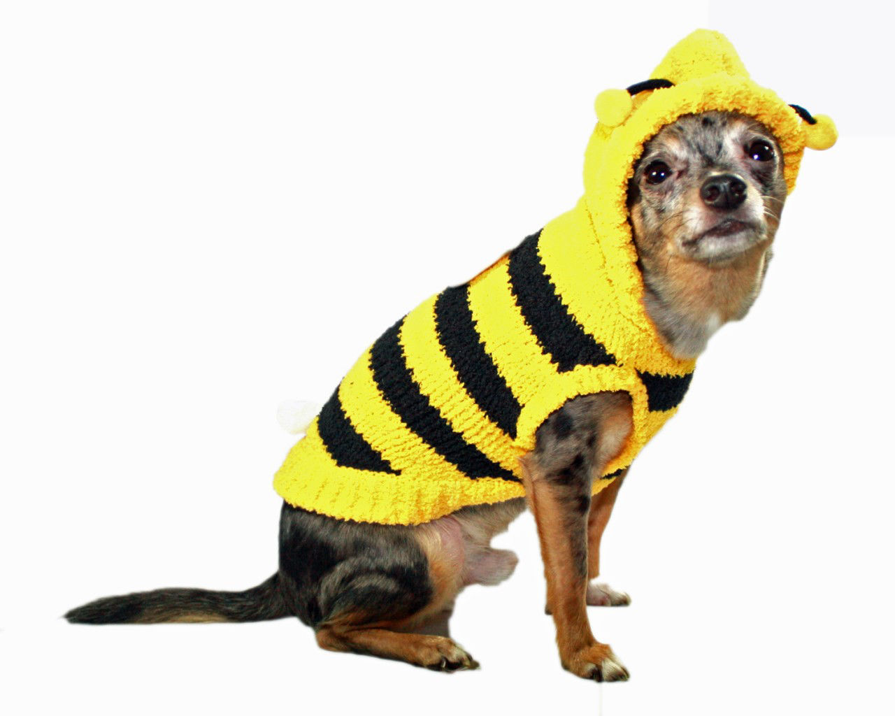 Picture of Chenille Bumble Bee Hoodie