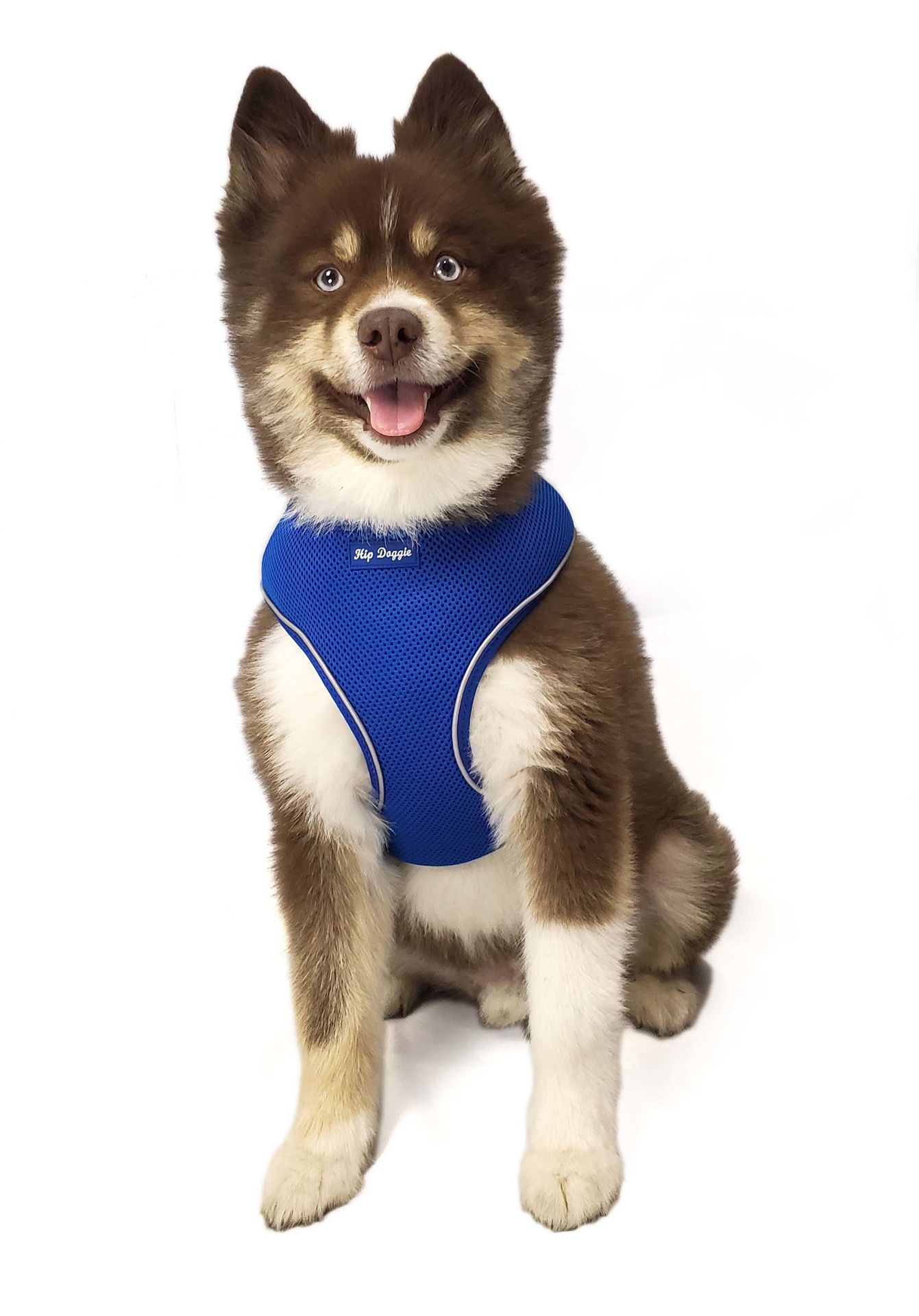 Picture of EZ Step-In Harness Vest - Royal Blue