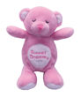 Picture of Snoring Bear 6"