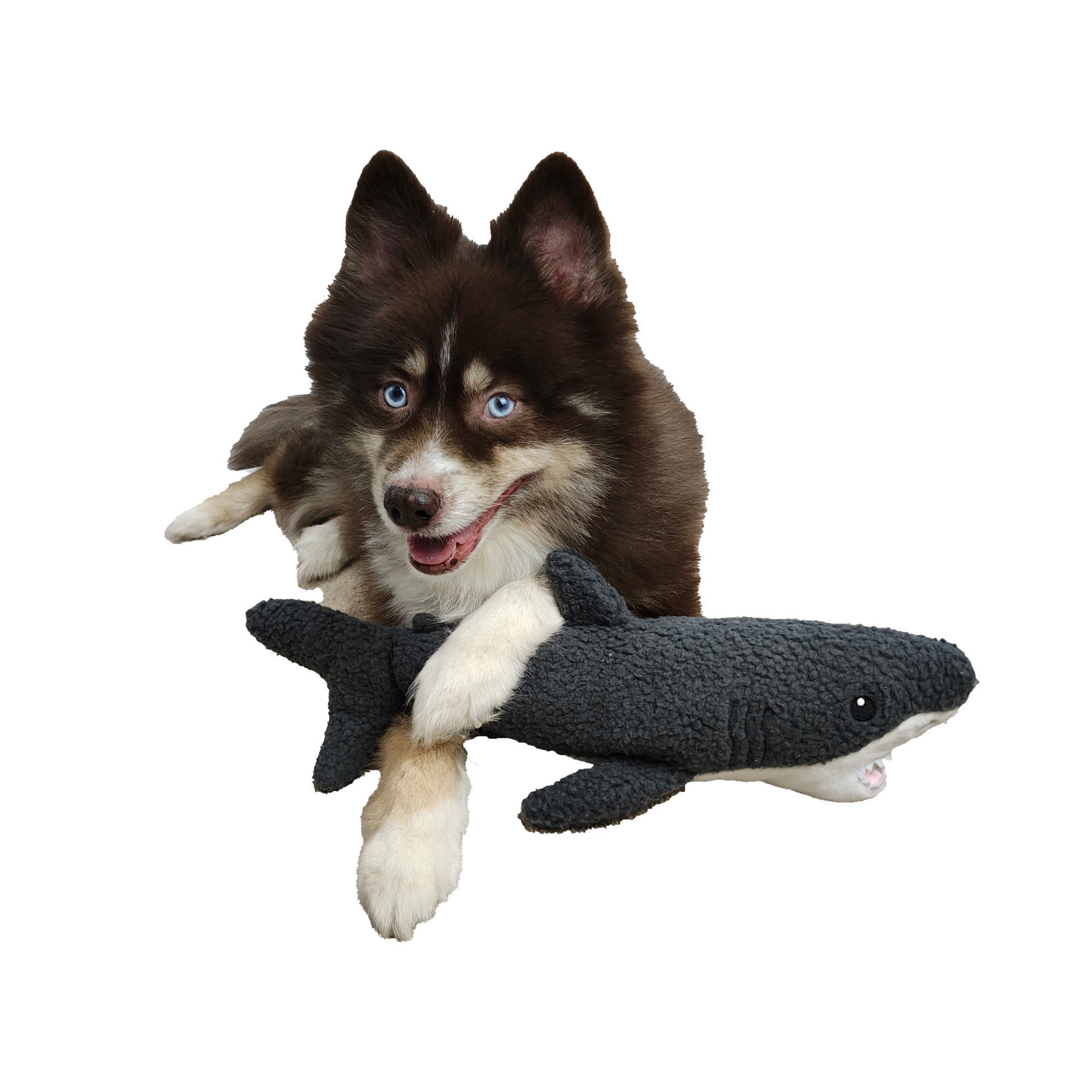 Picture of Wildlife Fleece Toy - Gilly the Shark