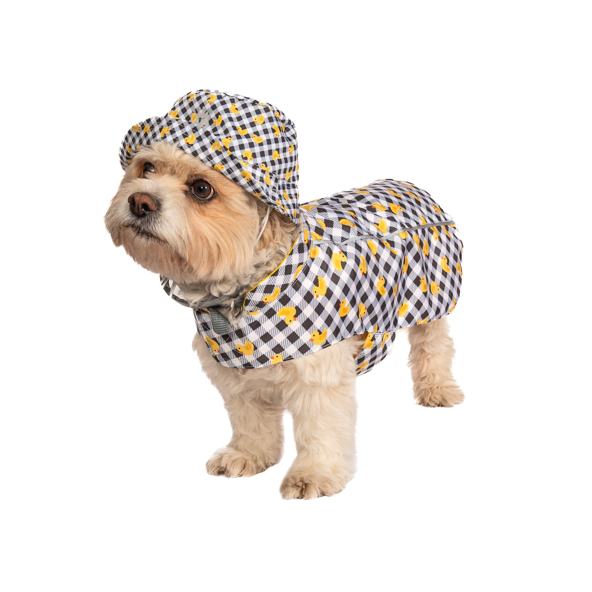 Picture of Ducks/Plaid Hoodless Raincoat