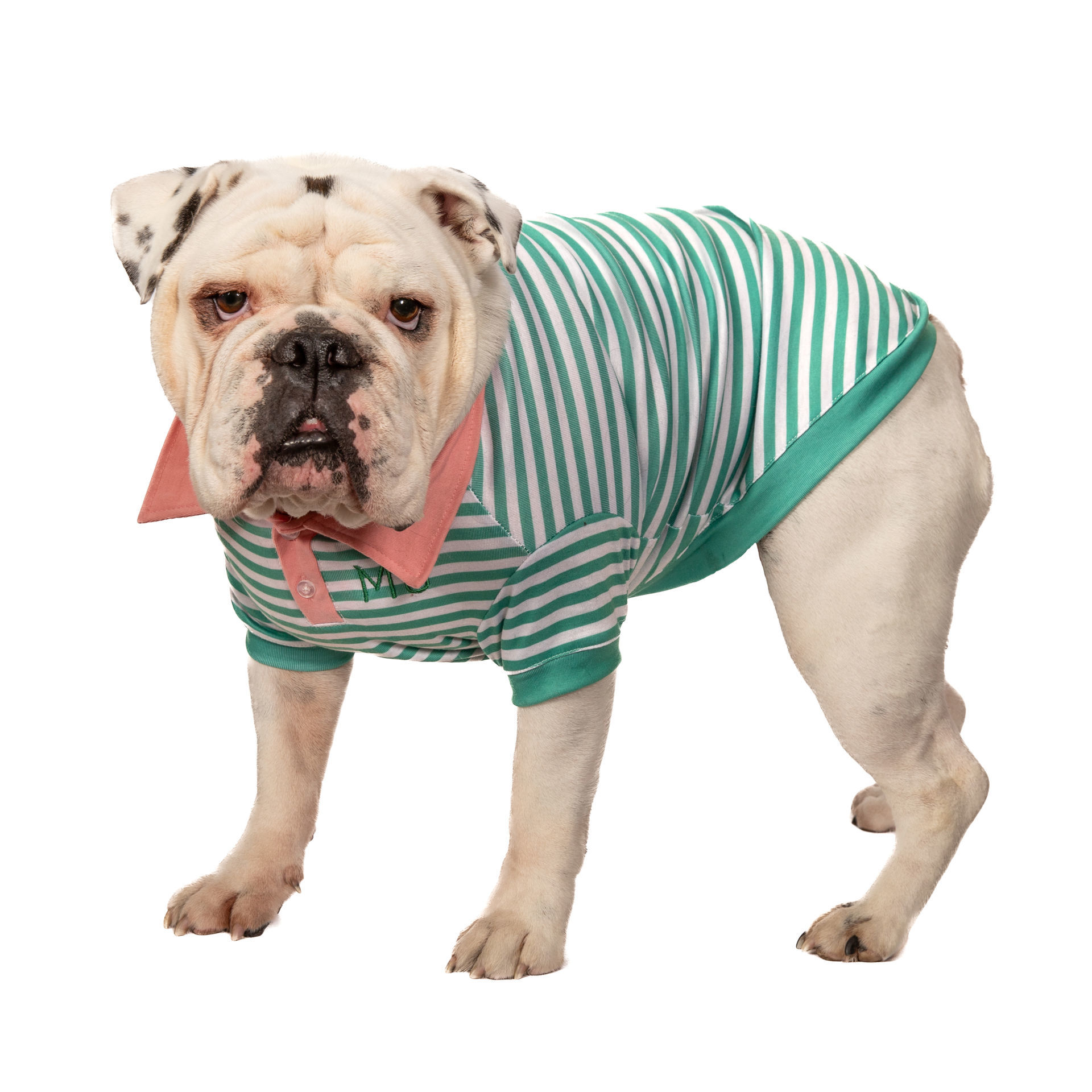 Picture of Green / Gray Stripe Polo