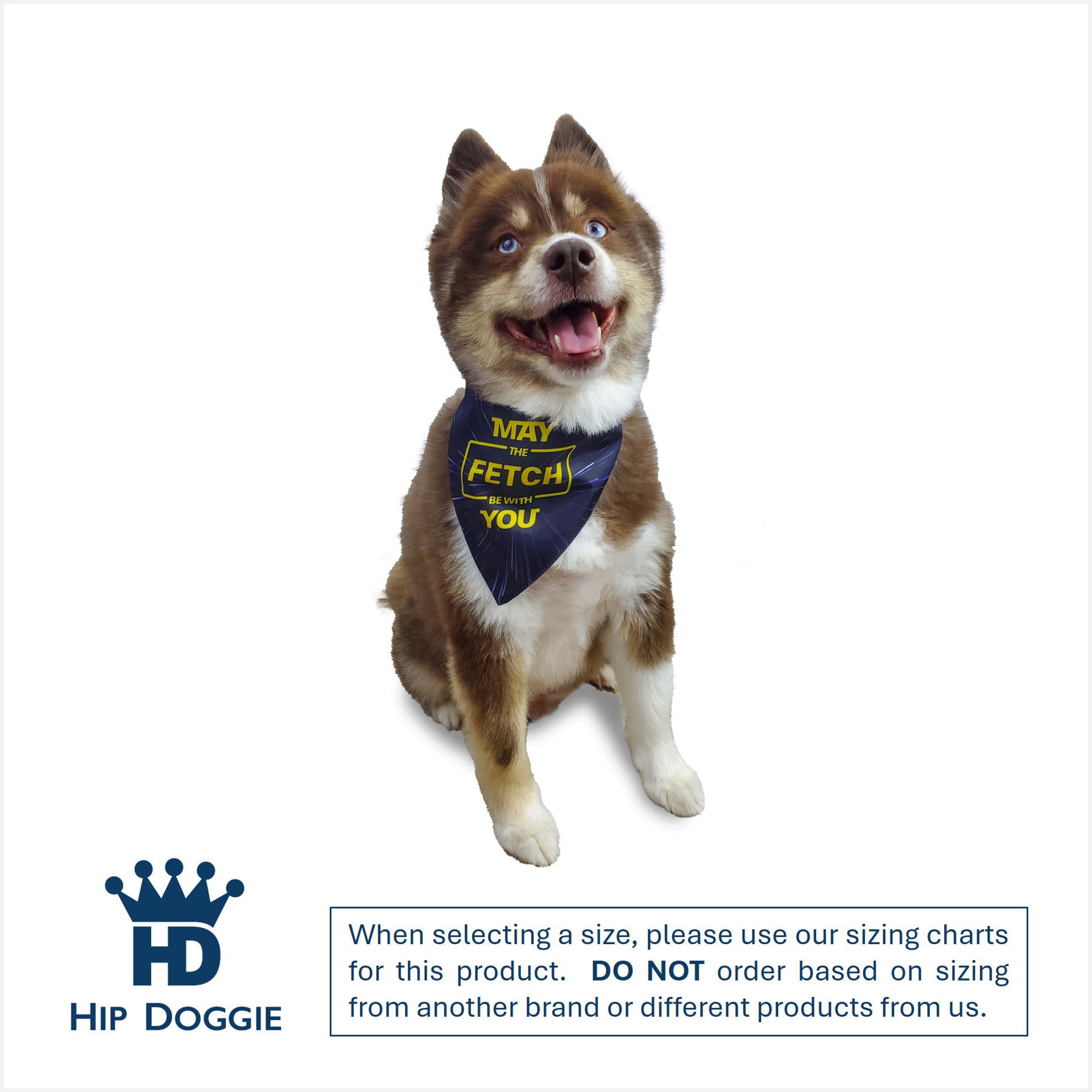 Picture of Two Sided Bandana - May the Fetch be with You