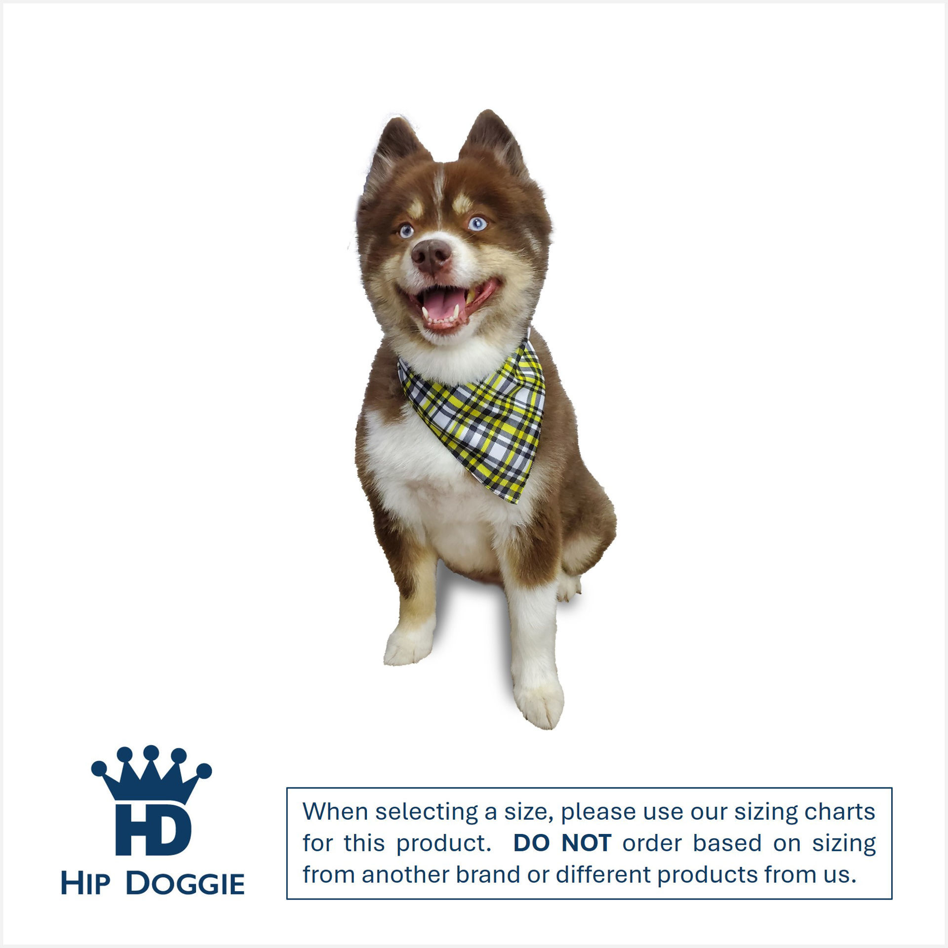 Picture of Two Sided Bandana - May the Fetch be with You