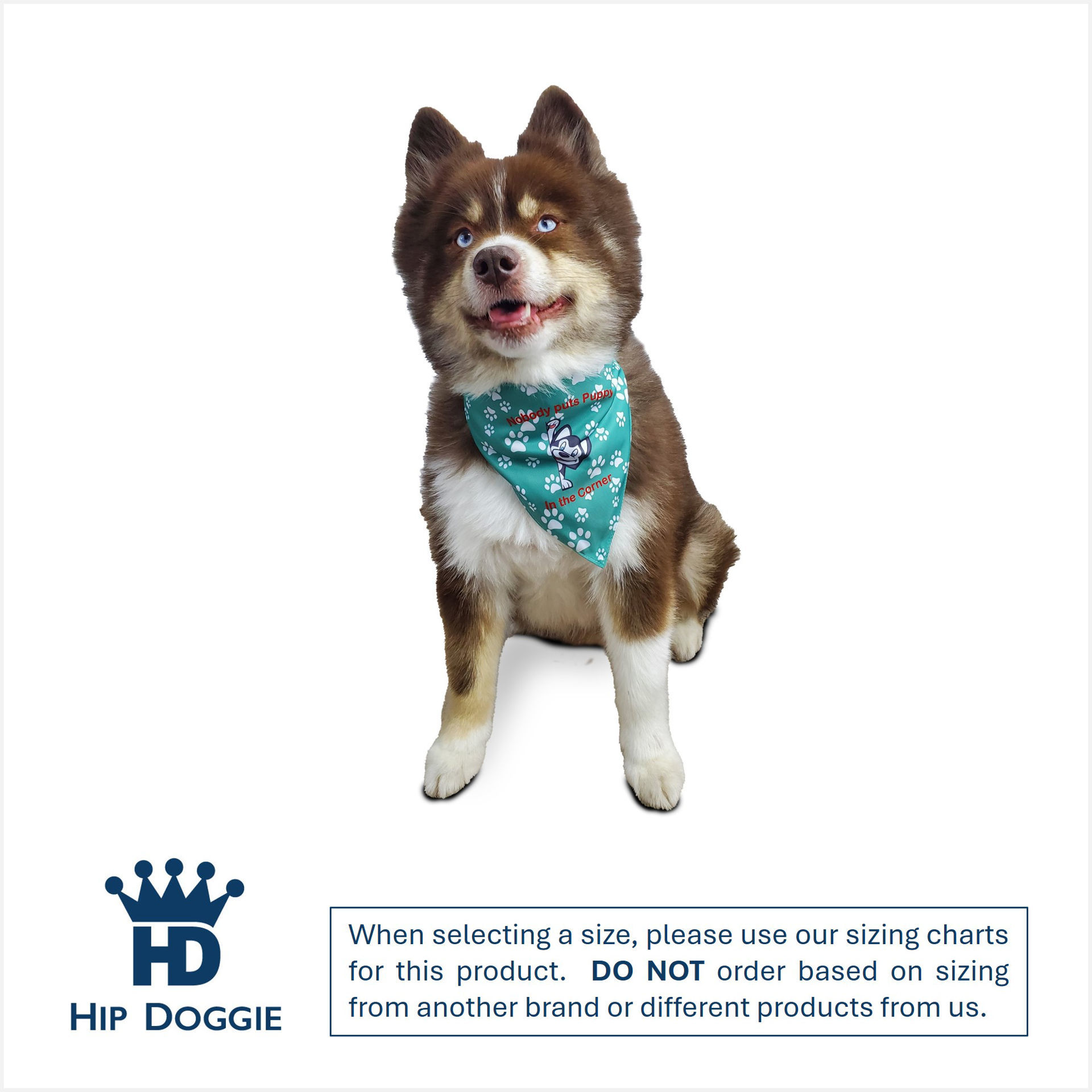 Picture of Two Sided Bandana - Nobody puts Puppy in the Corner