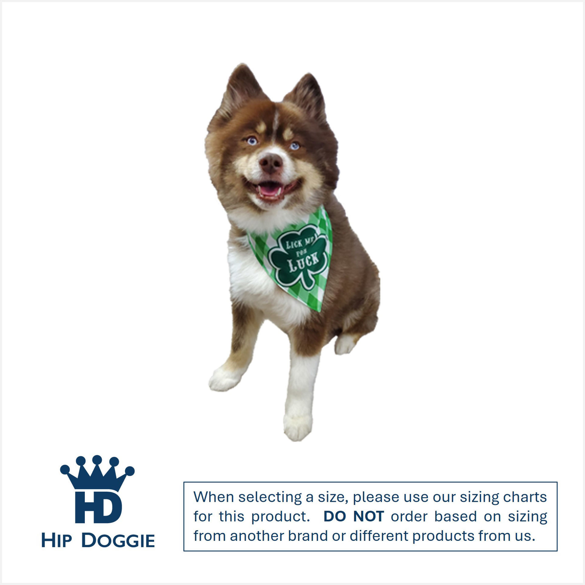 Picture of Two Sided Bandana - Shamrock