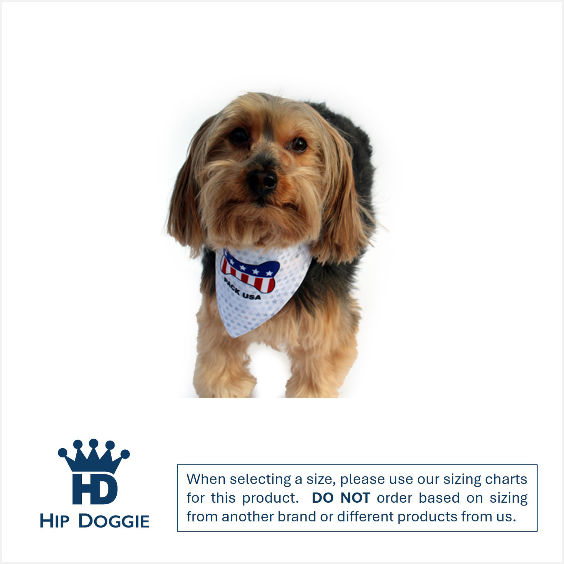 Picture of Two Sided Bandana - USA