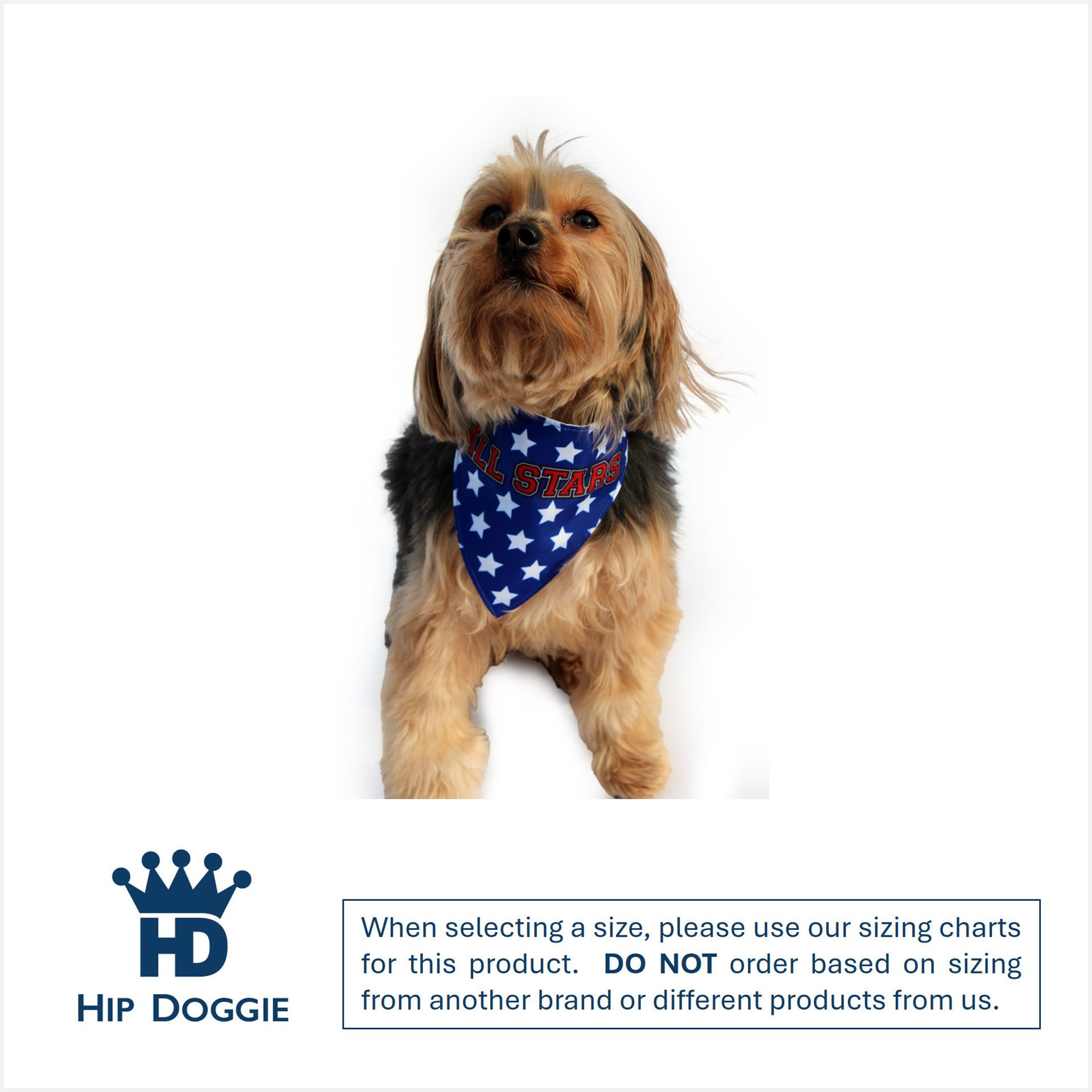 Picture of Two Sided Bandana - USA