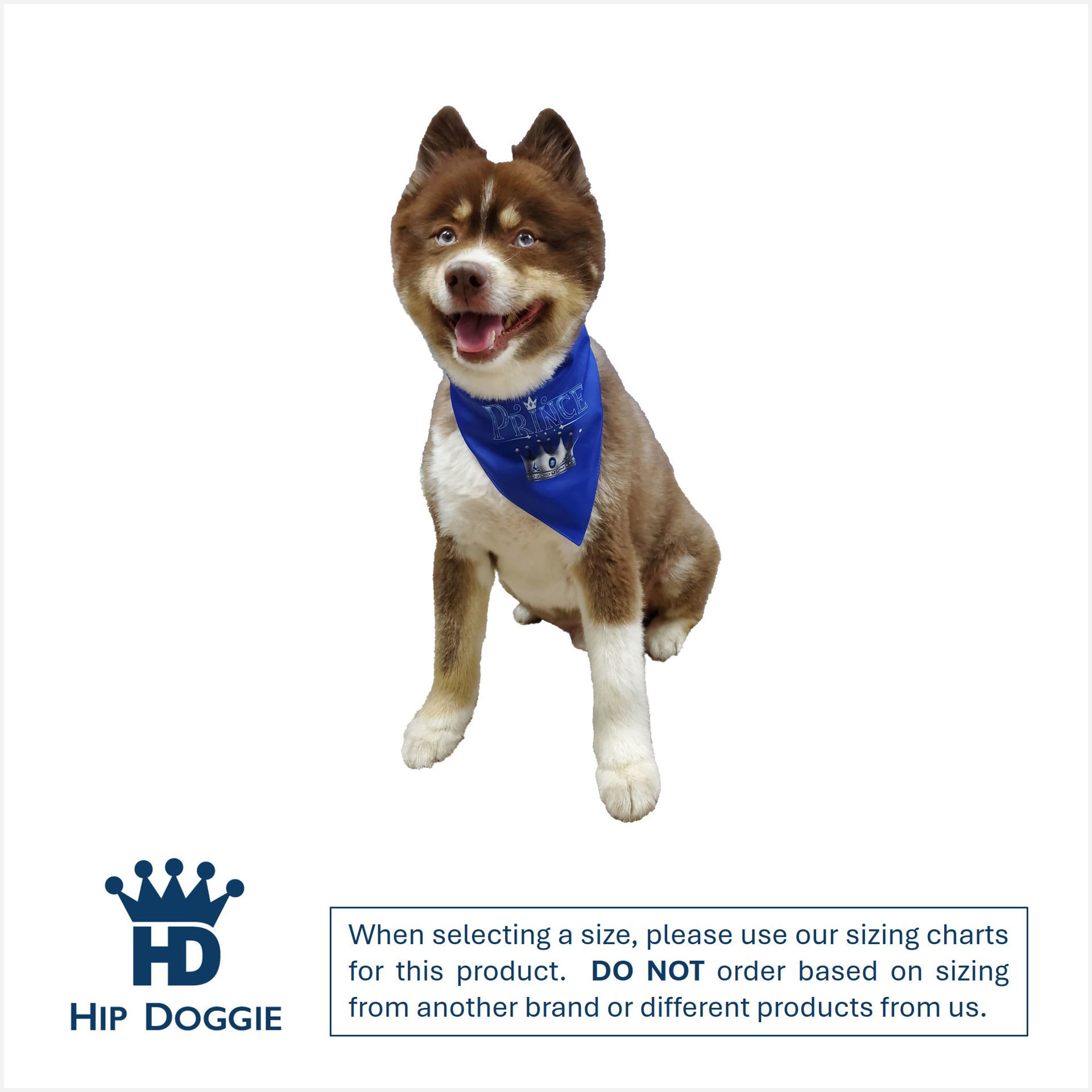 Picture of Two Sided Bandana - Prince Bandana